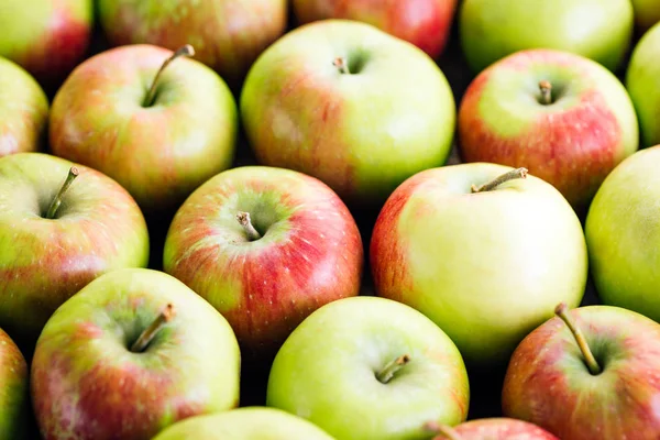 Manzanas Cosecha Fruta Fresca Primer Plano — Foto de Stock