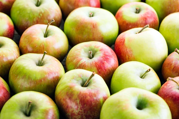 Apples Harvest Fresh Fruit Close — Stock Photo, Image