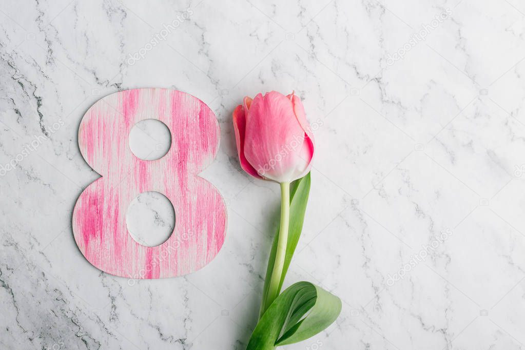 March 8, Women's Day, pink tulip, marble background