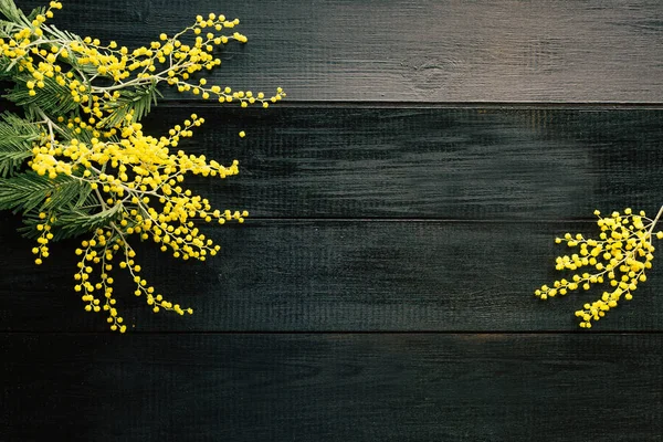 Mimosa Fondo Legno Nero Primavera Copiare Posto Fiori Gialli — Foto Stock