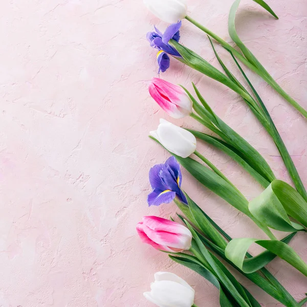 Tulipes Sur Fond Pierre Rose Bouquet Printemps Fête Des Femmes — Photo