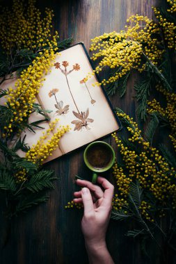 El, vintage sulak, mistik ışık, Mimoza çiçekler, instagram, koyu arka plan siyah kahve