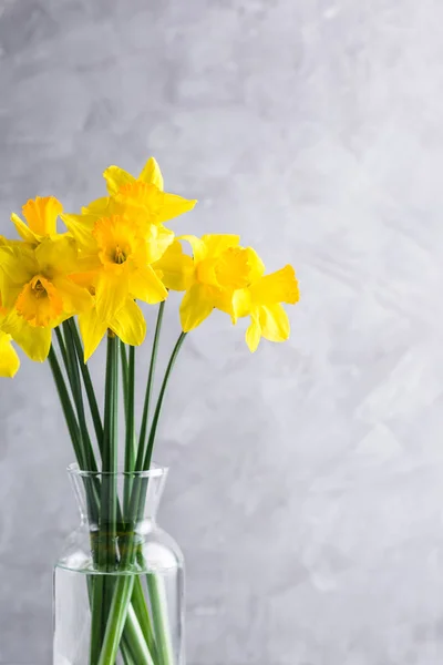 Narcisos Ramo Jarrón Vidrio Fondo Gris Lugar Copia —  Fotos de Stock