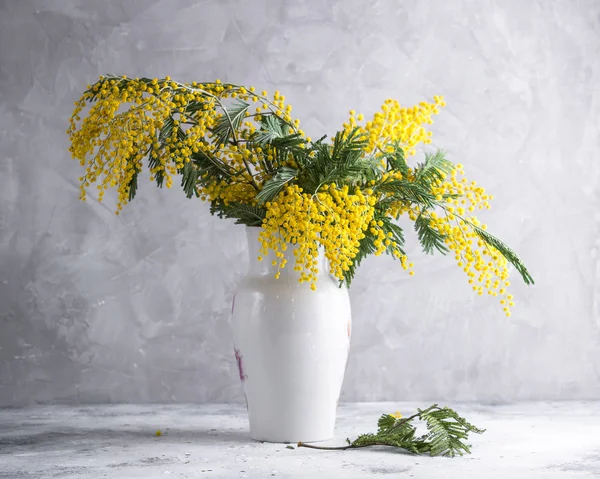 Fiori Mimosa Acacia Mazzo Vaso Bianco Sfondo Grigio Pietra Copiare — Foto Stock