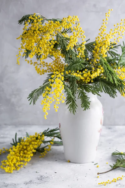 Fiori Mimosa Acacia Mazzo Vaso Bianco Sfondo Grigio Pietra Copiare — Foto Stock