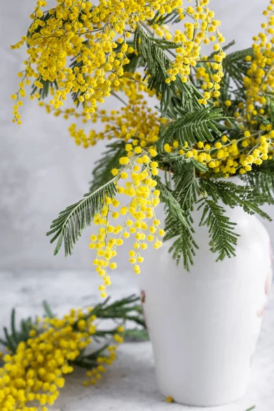 Fiori Mimosa Acacia Mazzo Vaso Bianco Sfondo Grigio Pietra Copiare — Foto Stock