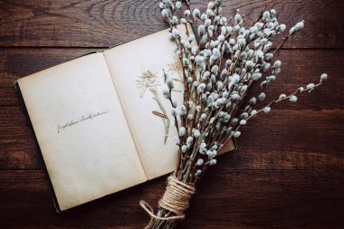 Retro arka plan, sulak ve Söğüt dalları ile eski kitap