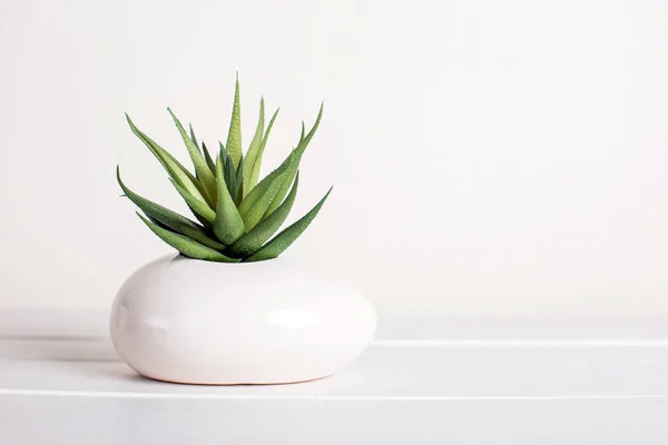 Sulu, yapay çiçek, modern stil, beyaz arka plan