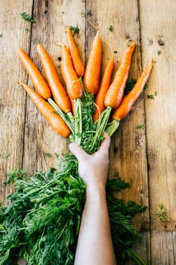 Kadın elinde taze havuç bir demet, ahşap arka plan