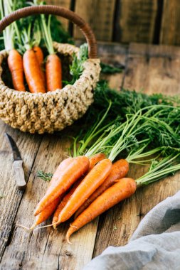 Tahta bir masada saplı taze havuç ve yapraklar, sebze mahsulü