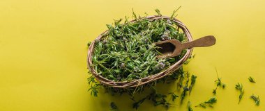 Hasat otlar, sarı bir arka plan üzerinde taze kekik