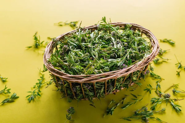 Harvesting Herbs Fresh Thyme Yellow Background — Stock Photo, Image
