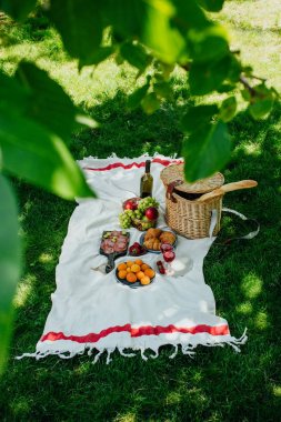 Yeşil çimüzerinde parkta yaz piknik