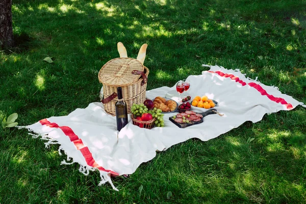 Picknickkorg Frukt Och Vin Sommardag Parken — Stockfoto