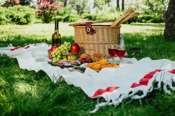 Summer picnic in the park on the green grass