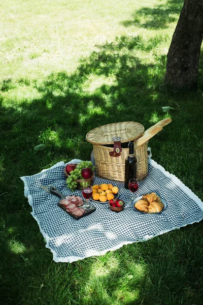 Summer picnic in the park on the green grass