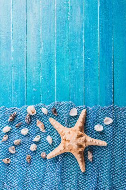 Deniz arka plan, turkuaz panoları, ip, denizyıldızı