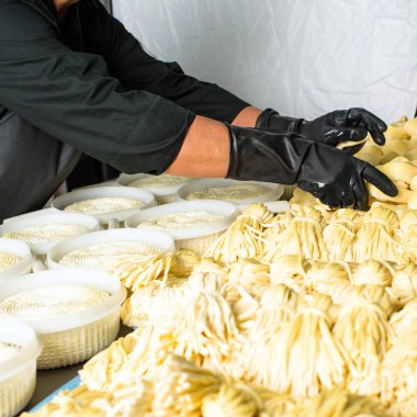 Peynir üretimi, Chechil, mandıra, Adygea Cumhuriyeti, Rusya