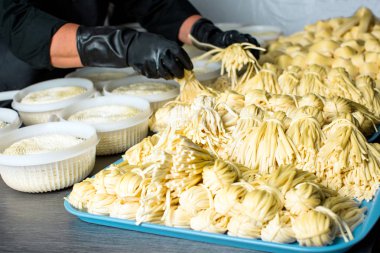 Peynir üretimi, Chechil, mandıra, Adygea Cumhuriyeti, Rusya