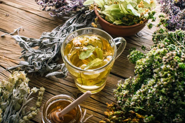 Φαρμακευτικό Τσάι Βοτάνων Συγκομιδή Άγριων Φυτών Εναλλακτική Ιατρική — Φωτογραφία Αρχείου