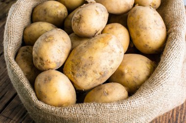 Bir torbada beyaz patates, taze kazılmış, yakın çekim