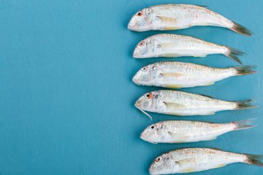 Mavi arka planda taze kırmızı kefal balığı. Karadeniz Balığı Sultanka.