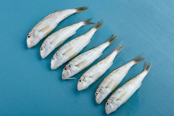 Cattura Fresca Triglia Rossa Fondo Blu Pesce Del Mar Nero — Foto Stock