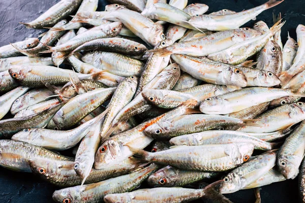 Fresh Catch Red Mullet Mar Negro Sultanka Pescado — Foto de Stock