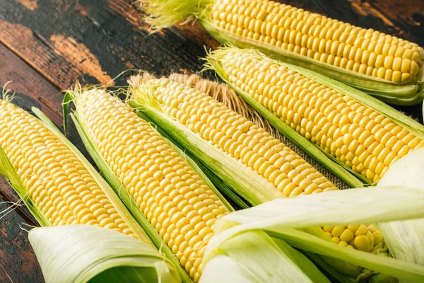 Verse maïs op de kolf, landbouw, oogst — Stockfoto