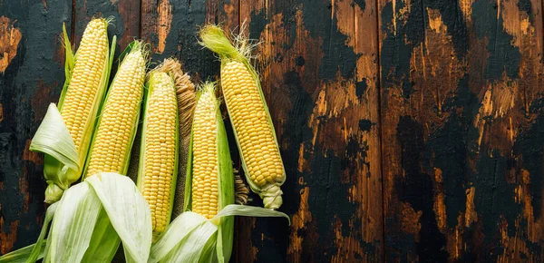 Fresh corn on the cob, agriculture, harvest — Stock Photo, Image