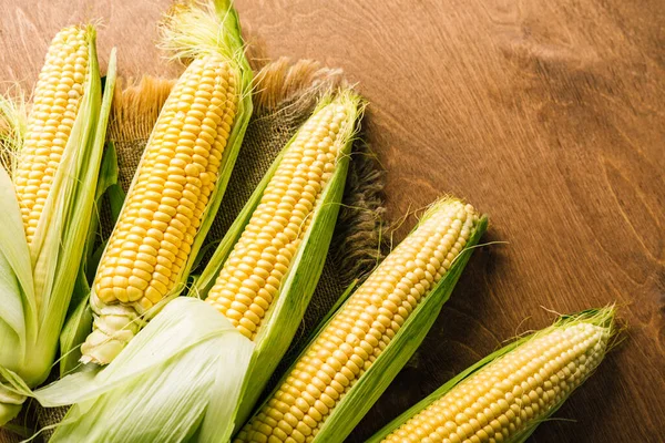 Fresh corn on the cob, agriculture, harvest — Stock Photo, Image