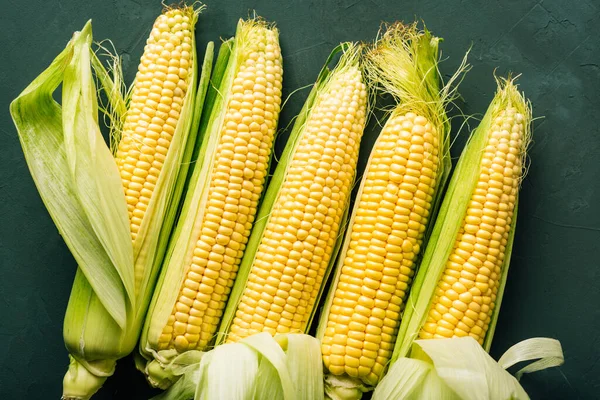 Friss kukorica a kukoricán, mezőgazdaság, betakarítás — Stock Fotó