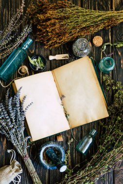 Şifalı bitkilerin hazırlanması. Alternatif tıp. Otantik bitki arkaplanı