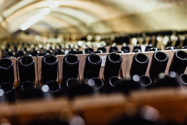 Abrau Durso 'nun şarap mahzenleri. Rusya Krasnodar Bölgesi. Şampanya üretimi.