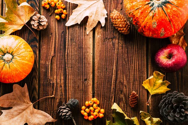 Sfondo autunnale. Telaio composto da foglie secche, zucca e coni. Copspace — Foto Stock