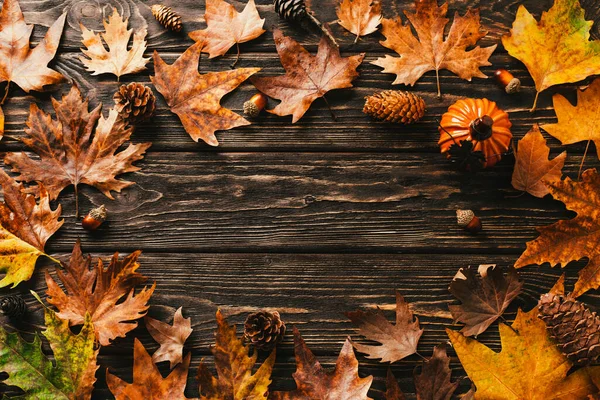 Fondo de otoño. marco hecho de hojas de arce, conos y bellotas — Foto de Stock