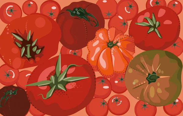Εικονογράφηση κόκκινες ντομάτες — Διανυσματικό Αρχείο