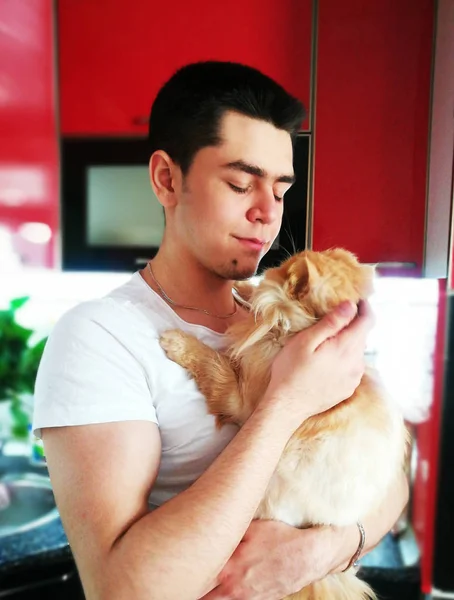 Happiness. Young man with cat. Orange Persian Cat. Lover Man, Hu