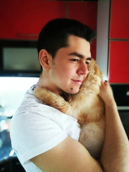 Glück. Katze mit jungem Mann. Orangefarbene Perserkatze. Liebhaber Mann, hu — Stockfoto