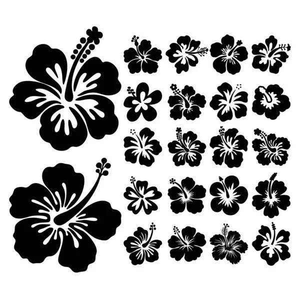 Hibiscus Çiçek Vektörü Tropik Botanik Siluetleri Ayarla