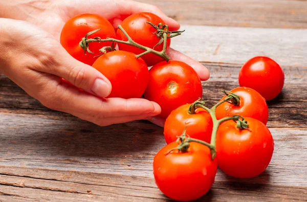 Ramo Tomates Cherry Mano Mujer Sobre Tabla Madera — Foto de Stock