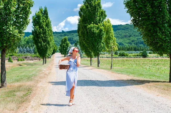 Femeie Frumoasă Fericită Rochie Coș Răchită Plimbă Drum Mediul Rural — Fotografie, imagine de stoc