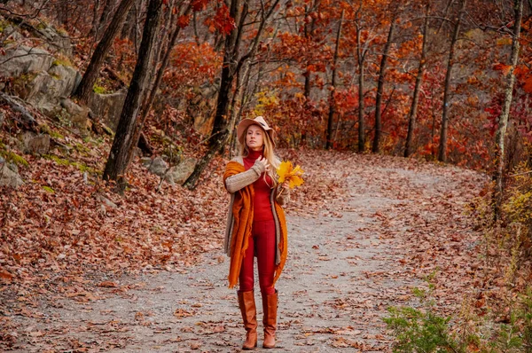 Femeie Frumoasă Călător Pulover Cald Plimbă Pădurea Toamnă — Fotografie, imagine de stoc