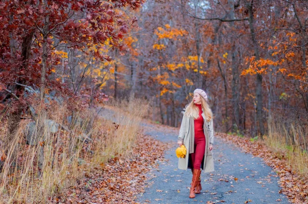 Bella Donna Cappotto Autunnale Sta Camminando Nella Foresta Autunnale — Foto Stock