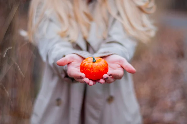 Mooie Vrouw Houdt Pompoen Herfst Bos — Stockfoto