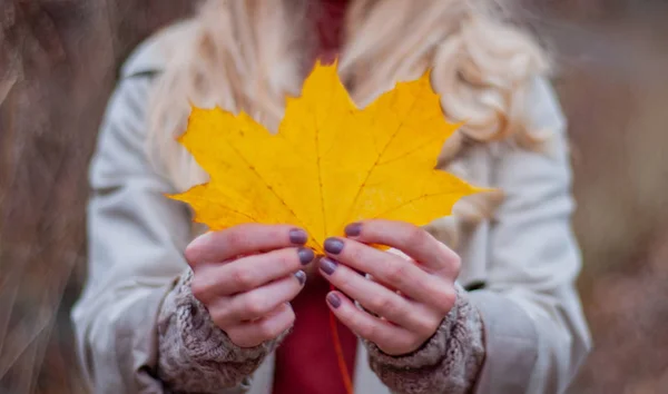 美丽的女人拿着黄叶在秋天森林享受自然 — 图库照片