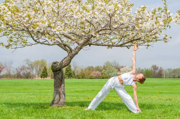 Gyönyörű nő gyakorló jóga, ezzel Utthita Trikonasana gyakorlása, kiterjesztett háromszög pózol közelében fa — Stock Fotó