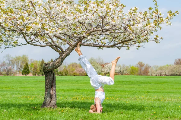 Femeia practică yoga, face exerciții de Salamba Sirsasana, stând în poziție în cap lângă copac — Fotografie, imagine de stoc