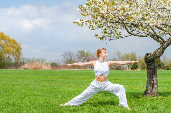 A nő jógázik, Virabhadrasana gyakorlatokat végez, harcos pózban áll a fa mellett. — Stock Fotó