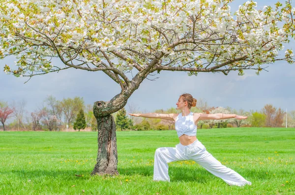 A nő jógázik, Virabhadrasana gyakorlatokat végez, harcos pózban áll a fa mellett. — Stock Fotó